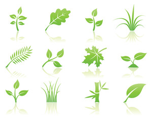 Vector illustration of green ecology nature floral icon set with reflections