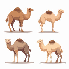 A collection of camel illustrations showcasing different expressions and movements.