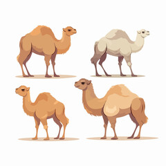 Captivating camel illustrations that transport you to exotic lands.