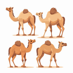 Vector illustrations of camels in diverse postures and stances.