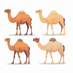 Camel illustrations in dynamic poses, ready for adventure.