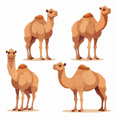 Elegant camel illustrations depicting their regal presence.