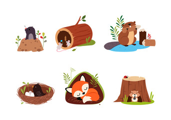 Forest Animal in Their Cozy Home and Burrow Vector Set - obrazy, fototapety, plakaty