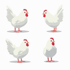 Versatile chicken illustrations suitable for branding and logo design.