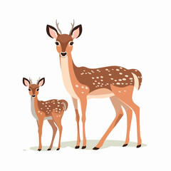 Deer illustrations showcasing their alertness and natural grace.