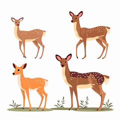 Authentic deer illustrations inspired by the beauty and serenity of nature.