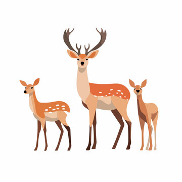 Captivating deer illustrations that transport you to the enchanting realm of forests.