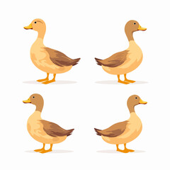 Whimsical duck illustrations adding a touch of charm to any design.