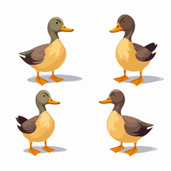 Elegant duck illustrations depicting their serene presence.