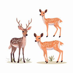 Majestic deer illustrations capturing the grandeur of these magnificent creatures.