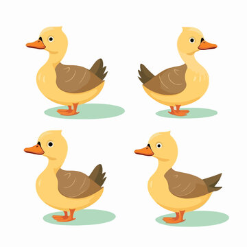 Vibrant duck illustrations evoking the beauty of aquatic habitats.