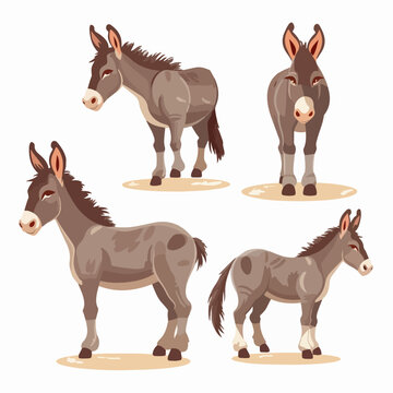 Cute and lovable donkey illustrations in a variety of sizes and positions.
