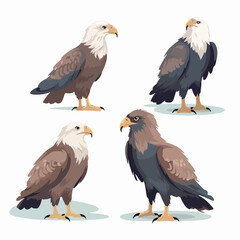 Fototapeta premium Expressive eagle illustrations with intricate details in their feathers and eyes.