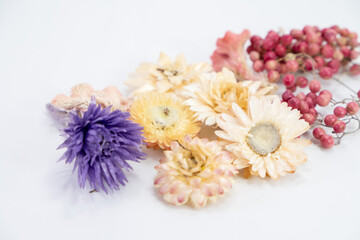 ドライフラワーのアソート