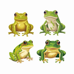 Fototapeta premium Vibrant frog illustrations capturing their lively nature and beauty.