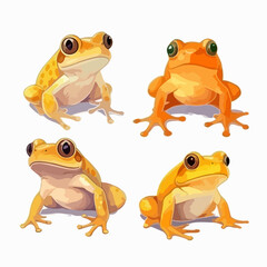 Cute and playful frog illustrations, great for educational materials.