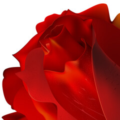Rose on a white background Clipping Mask