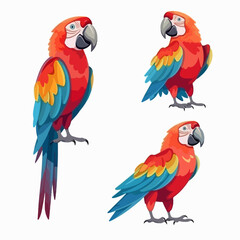 Obraz premium Colorful macaw illustrations in various poses, perfect for tropical themes.
