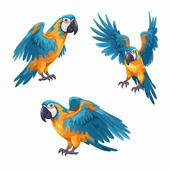 Dynamic macaw illustrations in various stances, perfect for children's books.