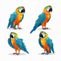 Lively macaw illustrations capturing their lively and energetic nature.