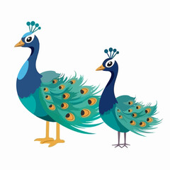 Obraz premium Captivating peacock illustrations in vector format, adding allure to any project.
