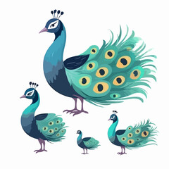 Obraz premium Expressive peacock illustrations showcasing their captivating presence.