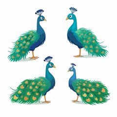Fototapeta premium Artistic peacock illustrations in vector format, suitable for digital media.