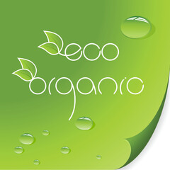 Eco and organic logos on green background.