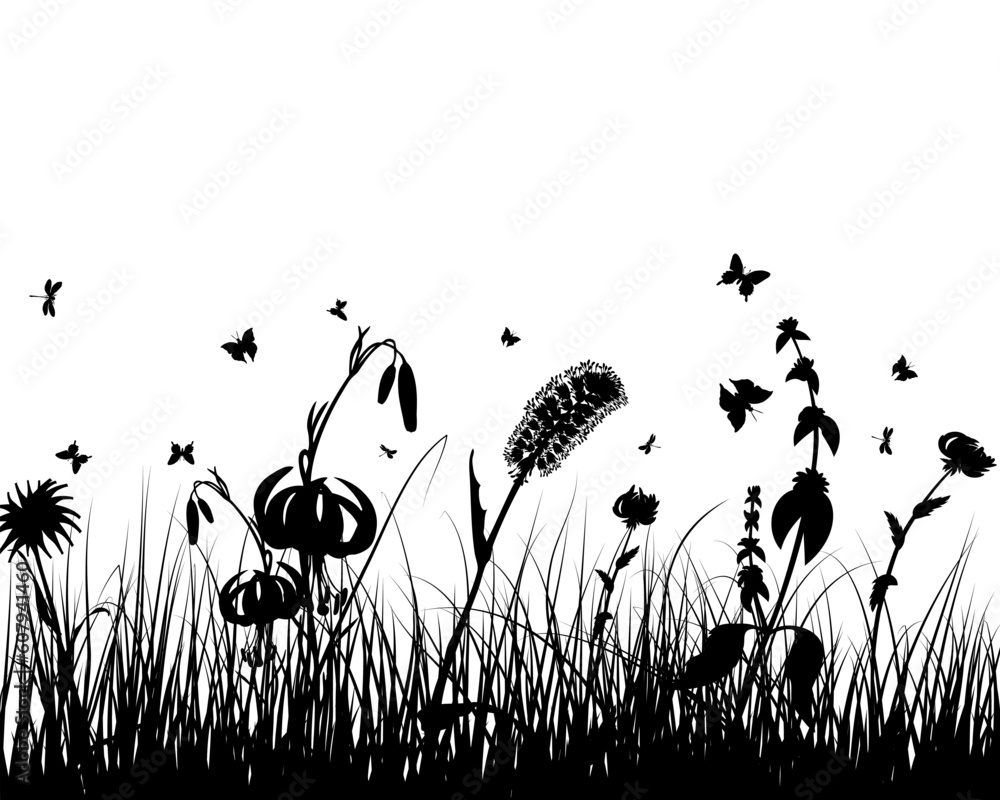 Poster vector grass silhouettes background. all objects are separated.