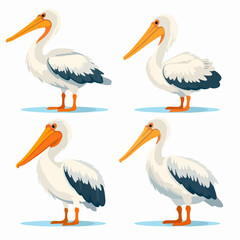 Creative pelican illustrations showcasing their prominent beaks and wings.