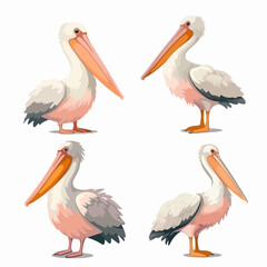 Artistic pelican illustrations in vector format, suitable for digital media.