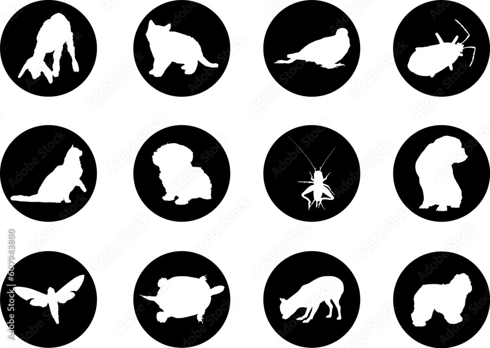 Poster animals. set of 12 round vector buttons for web