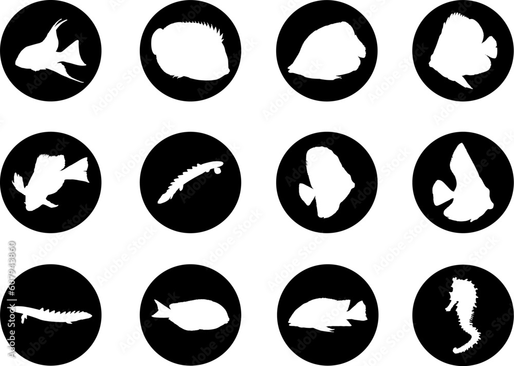 Poster fish. set of 12 round vector buttons for web