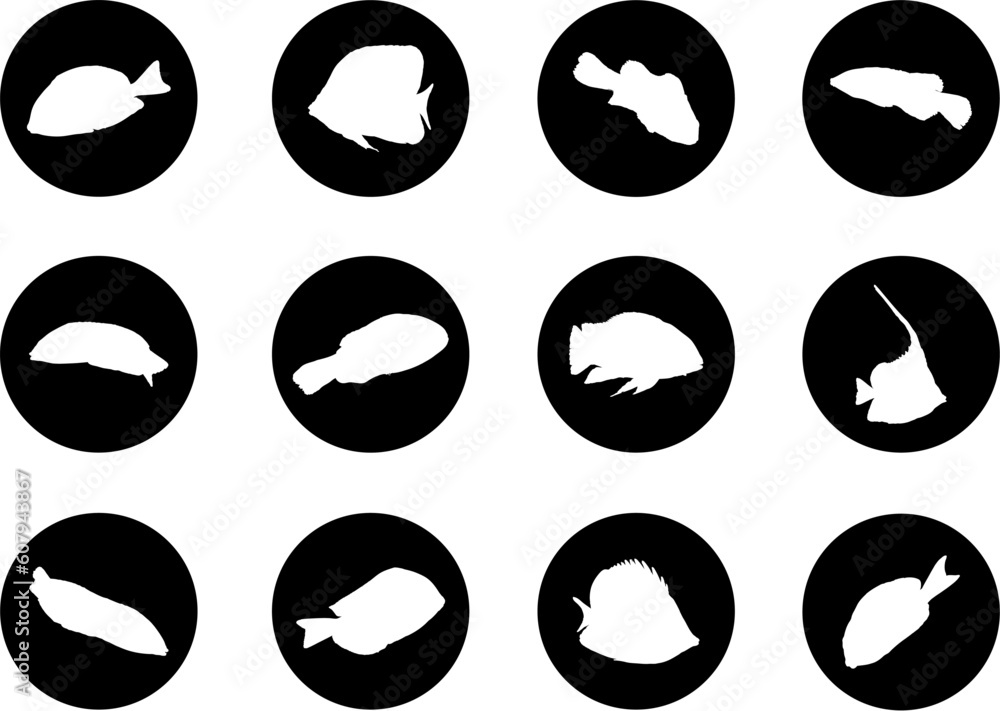 Poster Fish. Set of 12 round vector buttons for web