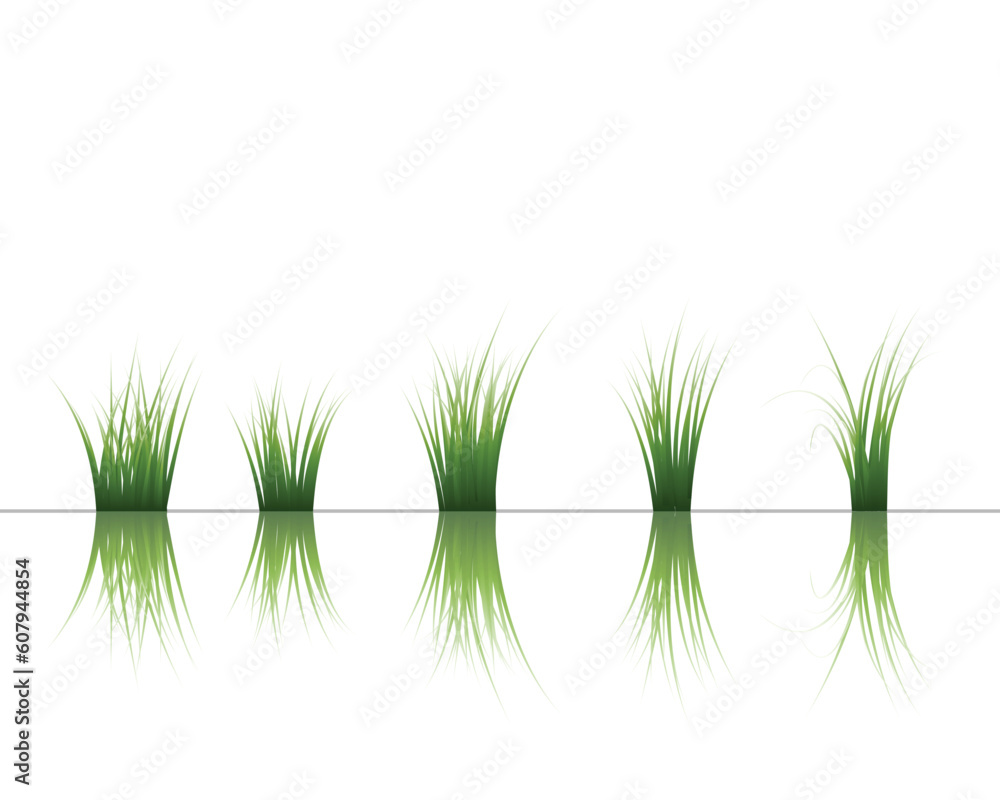 Poster vector grass silhouettes background with reflection in water. all objects are separated.