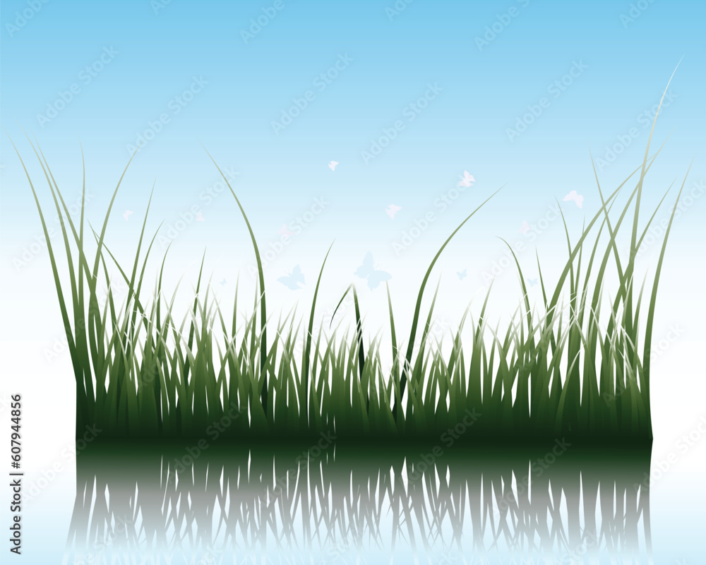 Poster vector grass silhouettes background with reflection in water. all objects are separated.