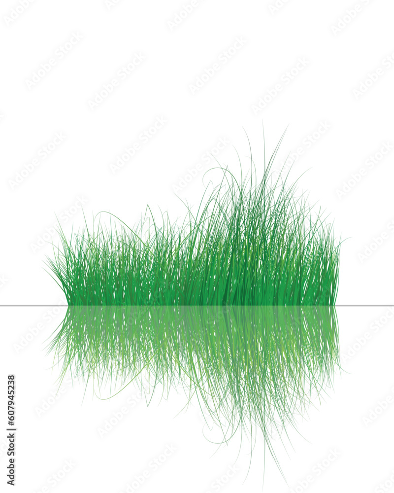 Poster vector grass silhouettes background with reflection in water. all objects are separated.