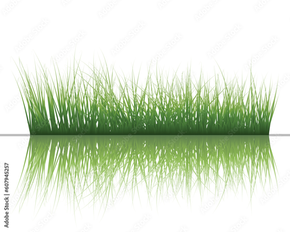 Poster vector grass silhouettes background with reflection in water. all objects are separated.