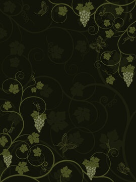 Vector floral background with vine.
