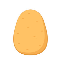 Potato vector. Potato vector. Potato on white background.