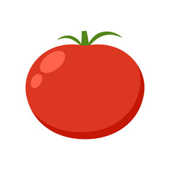 Tomato on white background. Vector illustration of fresh tomato.