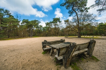 A Sandy Clearing on a Lawn in a Forest, with a Wooden Bench and a Table in the Foreground, a Sunny Day with a Blue Sky