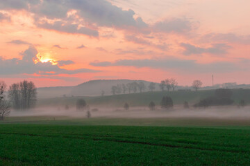 fog over the field