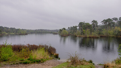 A Tranquil Scene of a Spring Forest Lake under a Cloudy Sky and Raindrops
