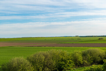 landscape with field and sky