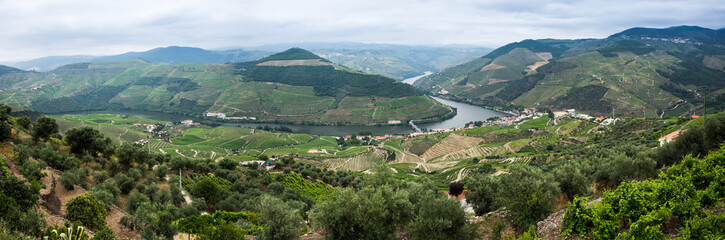 Panorama Pinhão-Rio Douro