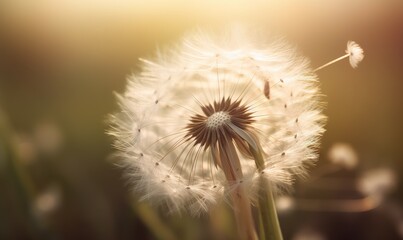  a close up of a dandelion with a blurry background.  generative ai