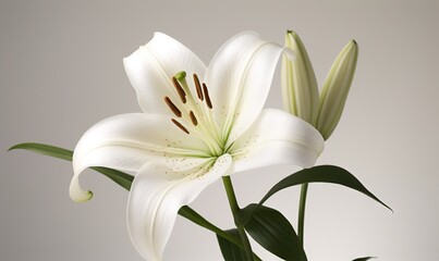  a white flower with green leaves in a vase on a table.  generative ai