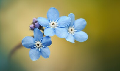 Naklejka na ściany i meble a close up of a blue flower with a blurry background. generative ai