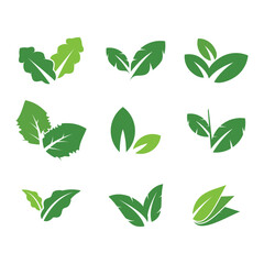 Set of leaf logo design element vector with unique shape